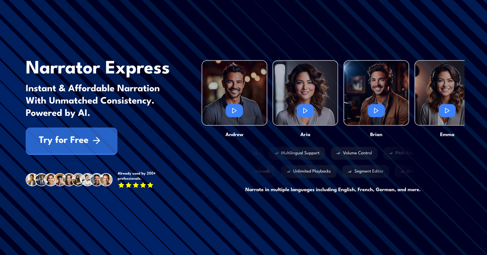 Narrator Express product image